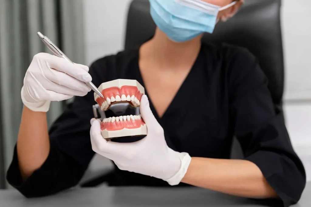 Close up dentist holding teeth model showing All on 4 dental implants